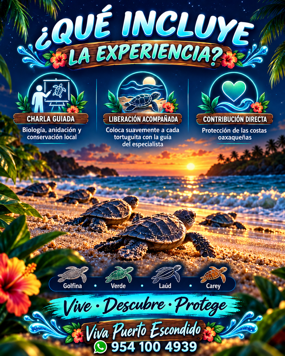 Publicidad informativa sobre las crías llegando al océano